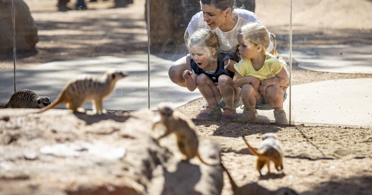 Dubbo Zoo announced best in NSW! Taronga Conservation Society Australia